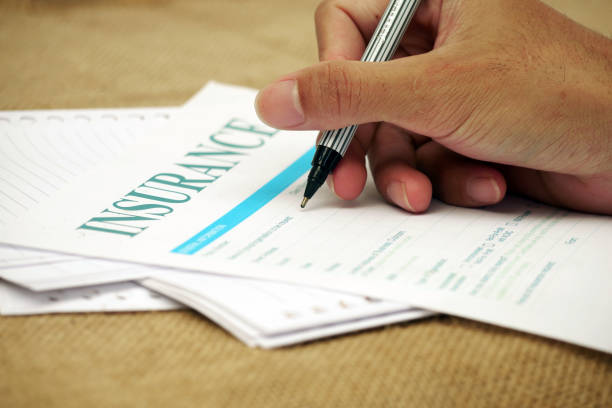 Top Insurance Underwriting Support Services to Boost Efficiency